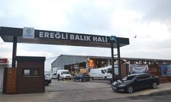 Kocaeli'de balıkçılar sezonun ilk avından döndü