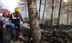 Marmaris'teki orman yangınına müdahale karadan devam ediyor