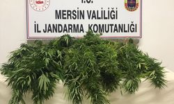 Mersin'de uyuşturucu operasyonunda yakalanan 3 zanlıdan 1'i tutuklandı