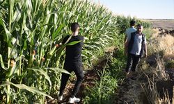 Şanlıurfa'da kaybolan üniversite öğrencisi için arama çalışması başlatıldı