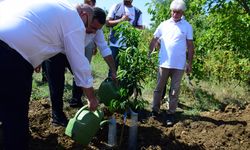 TİKA'dan Arnavutluk'taki ihtiyaç sahibi ailelere narenciye fidanı desteği