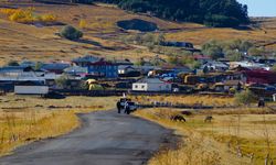 Ardahan'ın Göle ilçesine güz renkleri hakim oldu