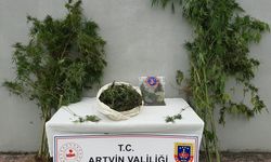 Artvin'de uyuşturucu operasyonunda 2 kişi gözaltına alındı