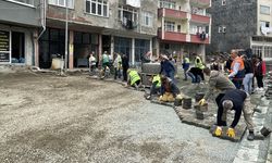 Artvin'in Borçka ilçesinde cadde ve sokaklar imece usulü yenileniyor