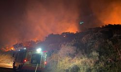 Bodrum'da makilik ve ağaçlık alanda çıkan yangın söndürüldü