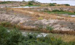 Edirneliler Tunca Nehri'nin ardından Meriç'in de kum adacıklarından temizlenmesini istedi