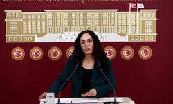 HDP'li Işık: "Okullardaki tadilat işleri neden yaz döneminde yapılmıyor"