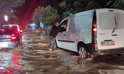 Siirt'te sağanak hayatı olumsuz etkiledi