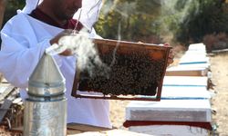 300 kovanı bulunan arıcı yeni meslektaşlar da yetiştiriyor