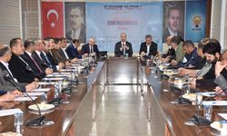 AK Parti Genel Başkan Yardımcısı İleri, Hakkari'de konuştu: