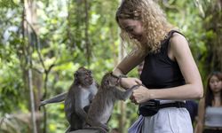 Bali Adası tarihi mekanları ve turizm merkezleriyle her yıl çok sayıda turist ağırlıyor