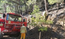 GÜNCELLEME - Kazdağları'nda çıkan orman yangını kontrol altına alındı