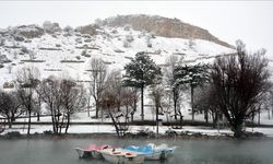 Malatya'ya mevsimin ilk karı yağdı