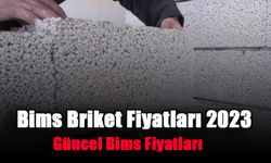 Bims Briket Fiyatları 2024 (Bims Fiyatı): Biriket Tuğla Fiyatları | Geçmeli, Özel Yarıklı, Harç Cepheli Bims Fiyatları