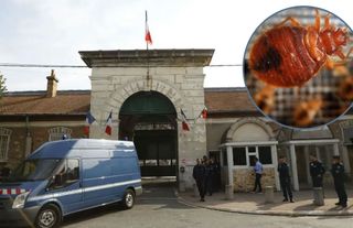 Fransa alarm verdi: Kan emicilere karşı savaş