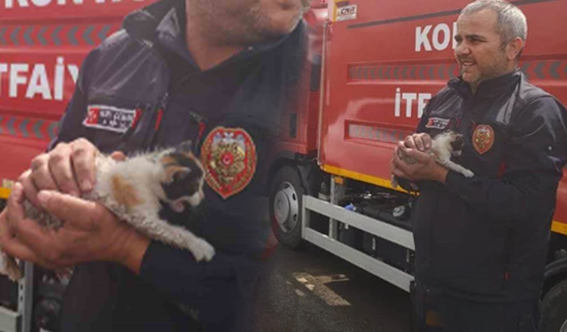 Konya’da otomobilin motoruna sıkışan kedi kurtarıldı