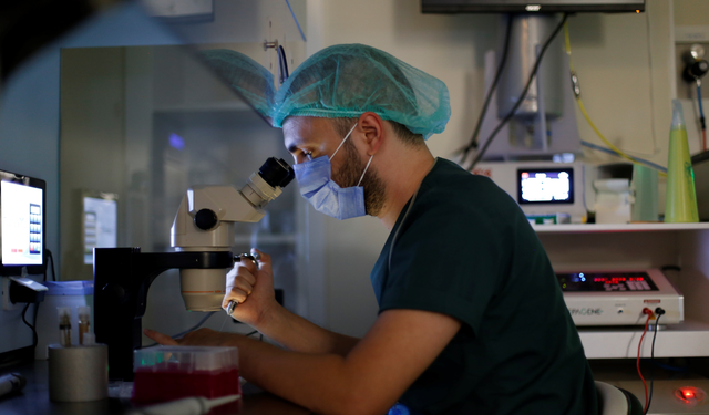 Embriyolog Nasıl Olunur, Ne İş Yapar, Maaşları Ne Kadar?
