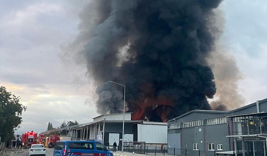 Uşak'ta fabrikada yangın: Alevlerle mücadele sürüyor