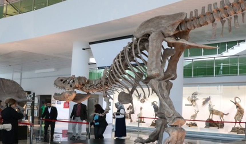 Milyonlarca yıllık fosillerin sergilendiği müze açılıyor