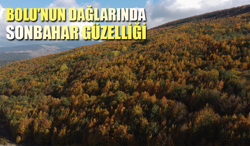 Bolu'nun dağlarında sonbahar güzelliği