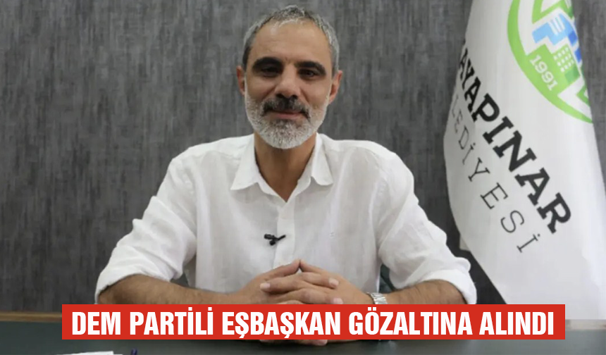 DEM Partili eşbaşkan gözaltına alındı