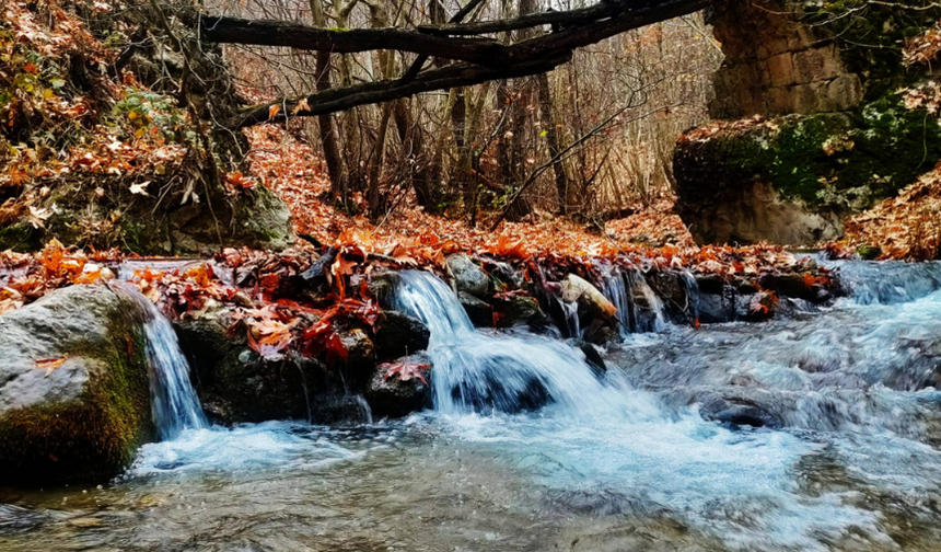 Güz vaktinin diyarı: Arapgir