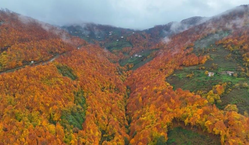 Samsun'da masalsı sonbahar