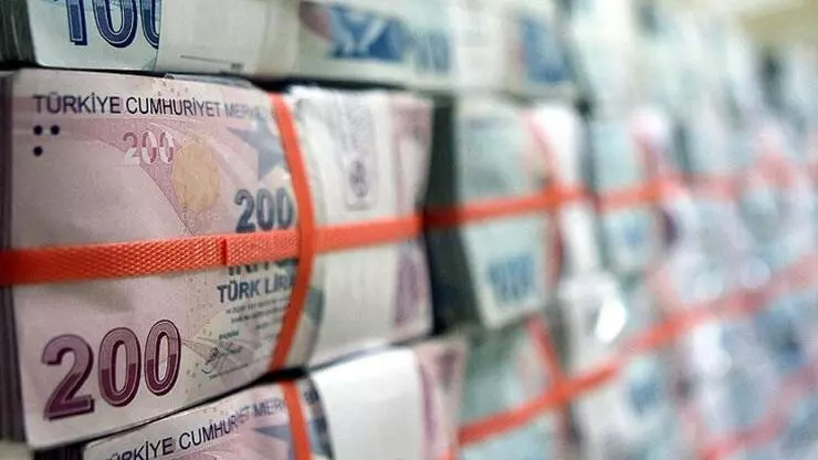 Bütçe, Temmuz ayında 48,5 milyar lira fazla verdi1