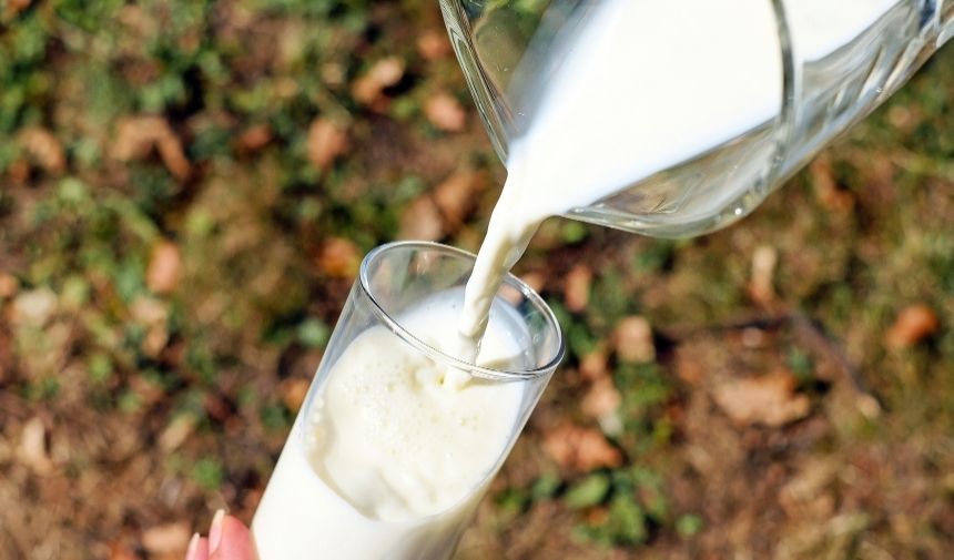 Açıkta Satılan Süt Ürünleri Hayatına Neden Olabilir (1)
