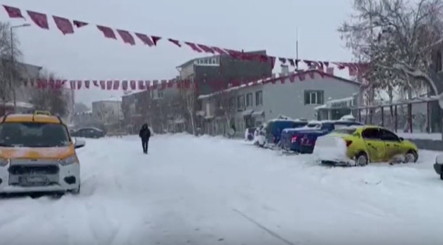 Yol kenarında yetişen şifa kaynağı