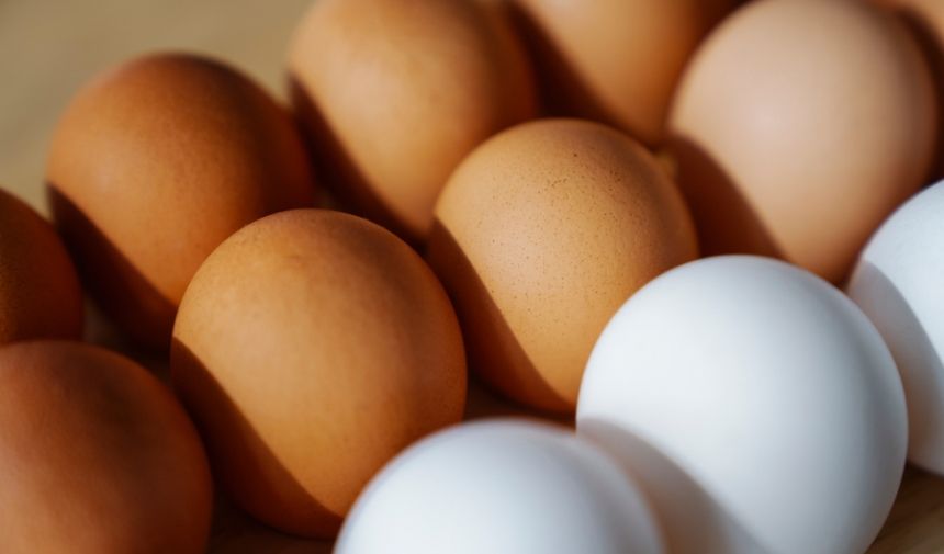Yumurta Fiyatları (1)