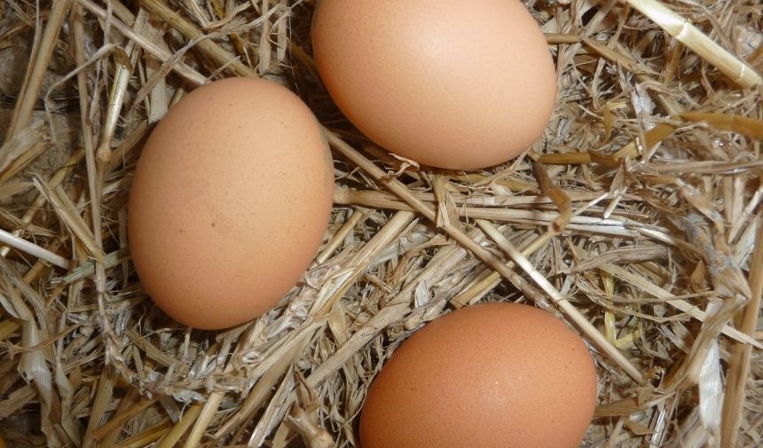 Yumurta Fiyatları (2)