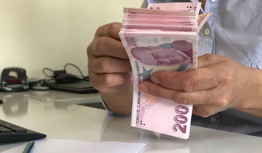 Türk Parası 2024 (8)