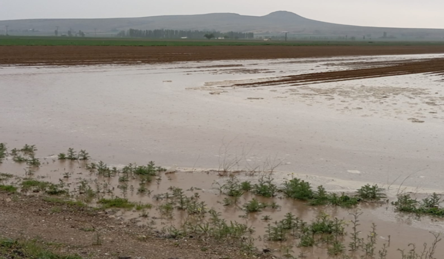 Uşak ve Nevşehir'de su baskınları oldu