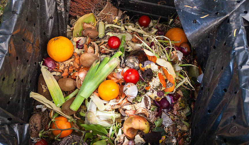 binlerce gıda çöpe atılıyor