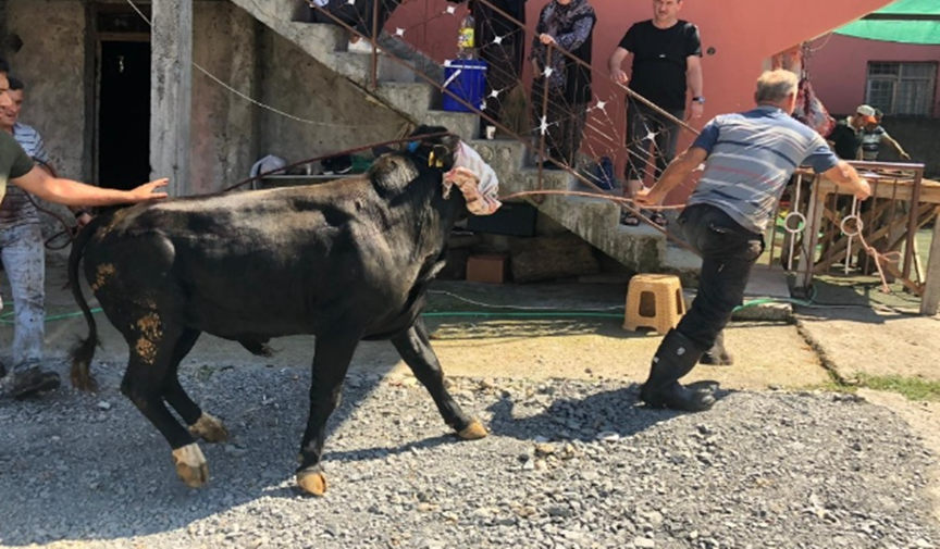 Kurban kesimi yaralanmalarına dikkat!