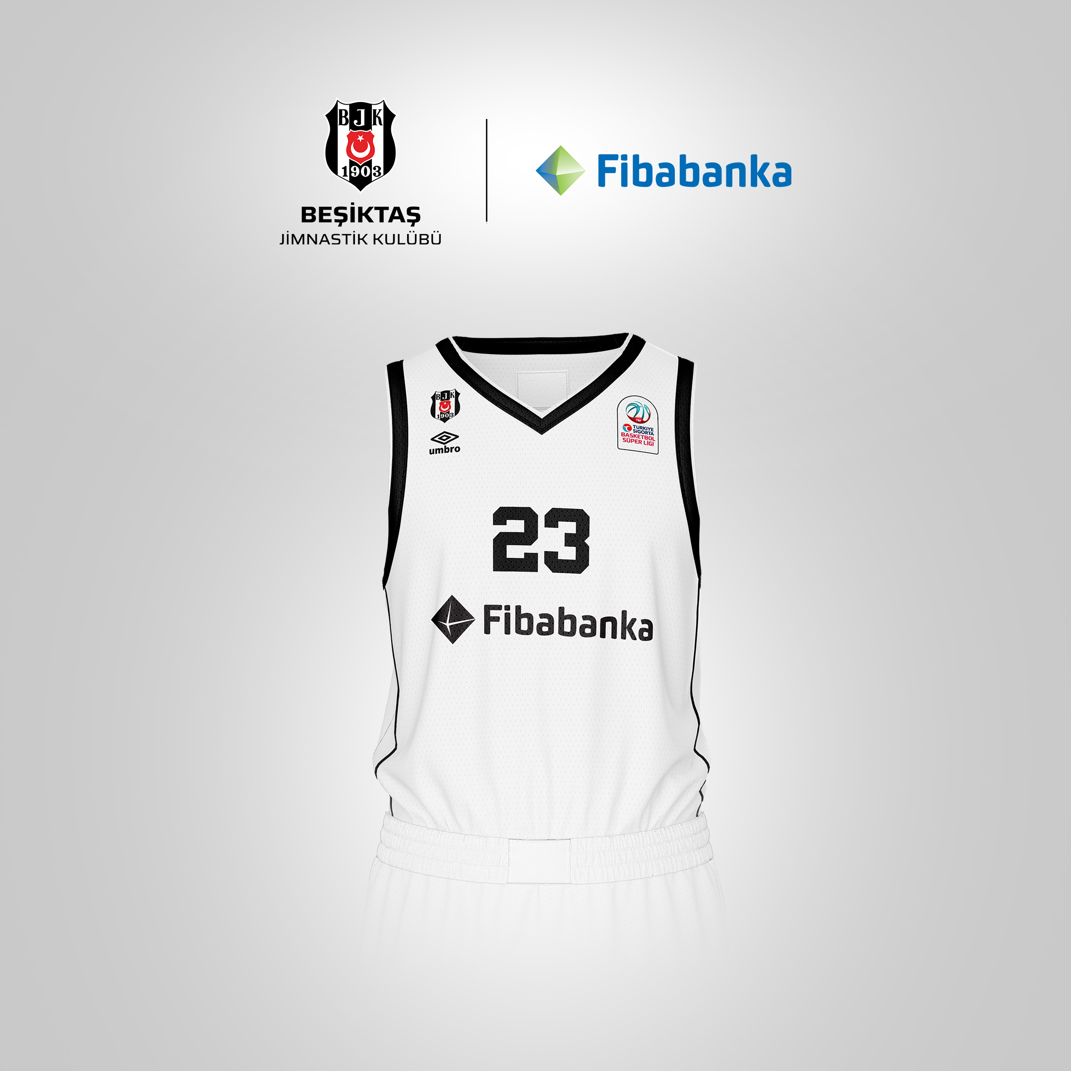 Beşiktaş Fibabanka 1