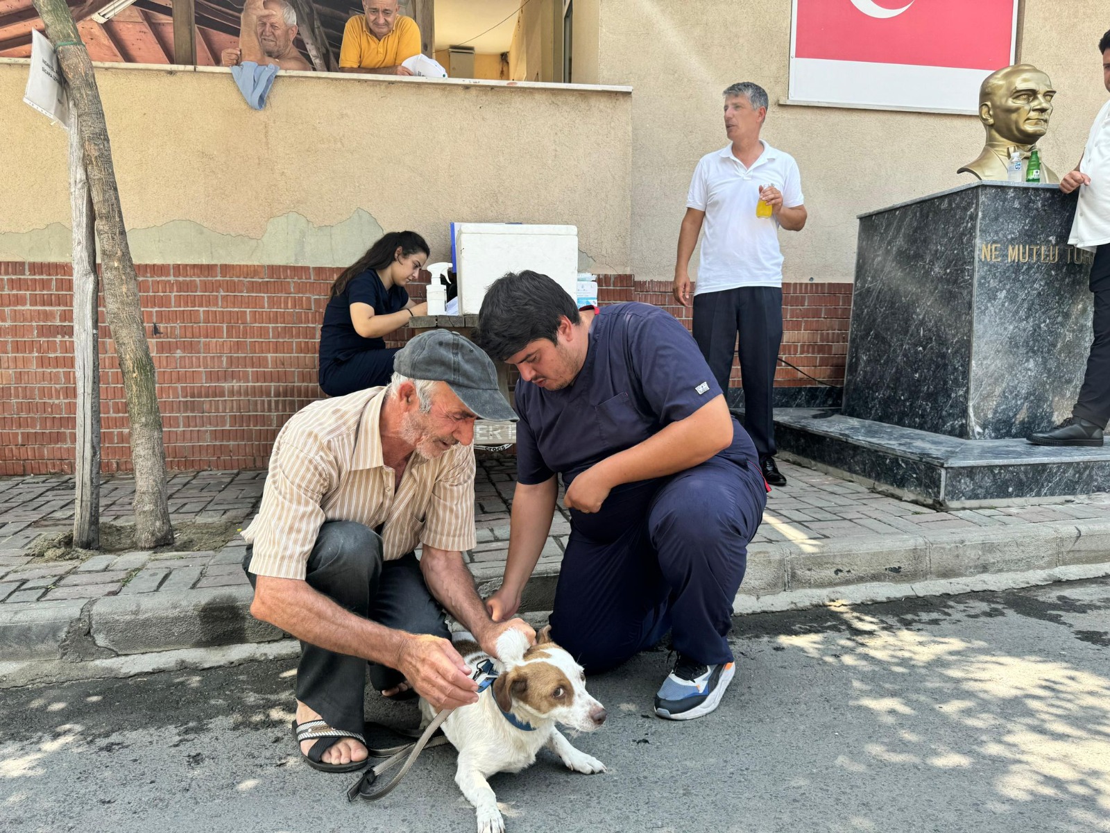 sarıyer belediyesi kuduz aşısı kampanyası 