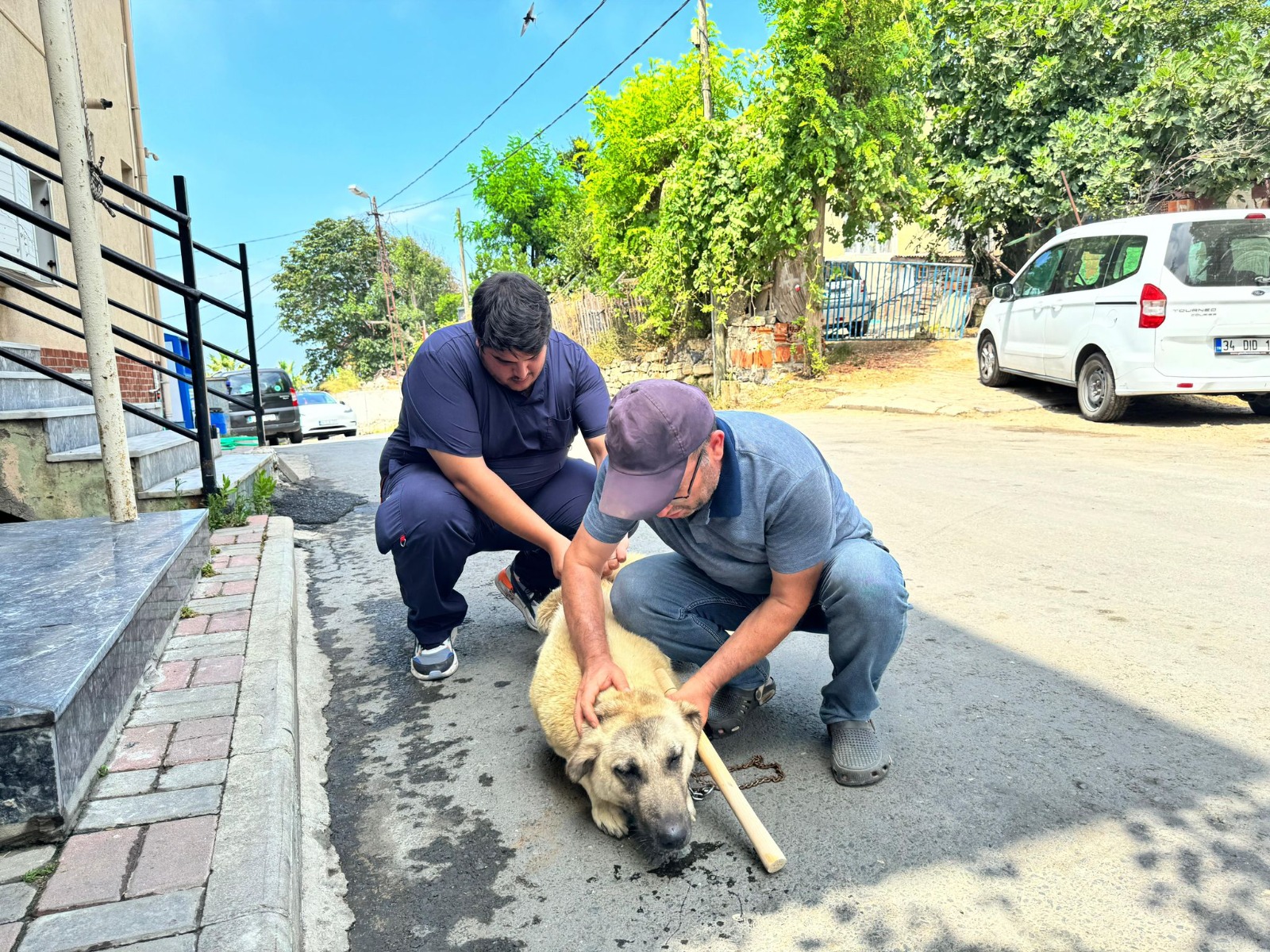 sarıyer belediyesi kuduz aşısı kampanyası 