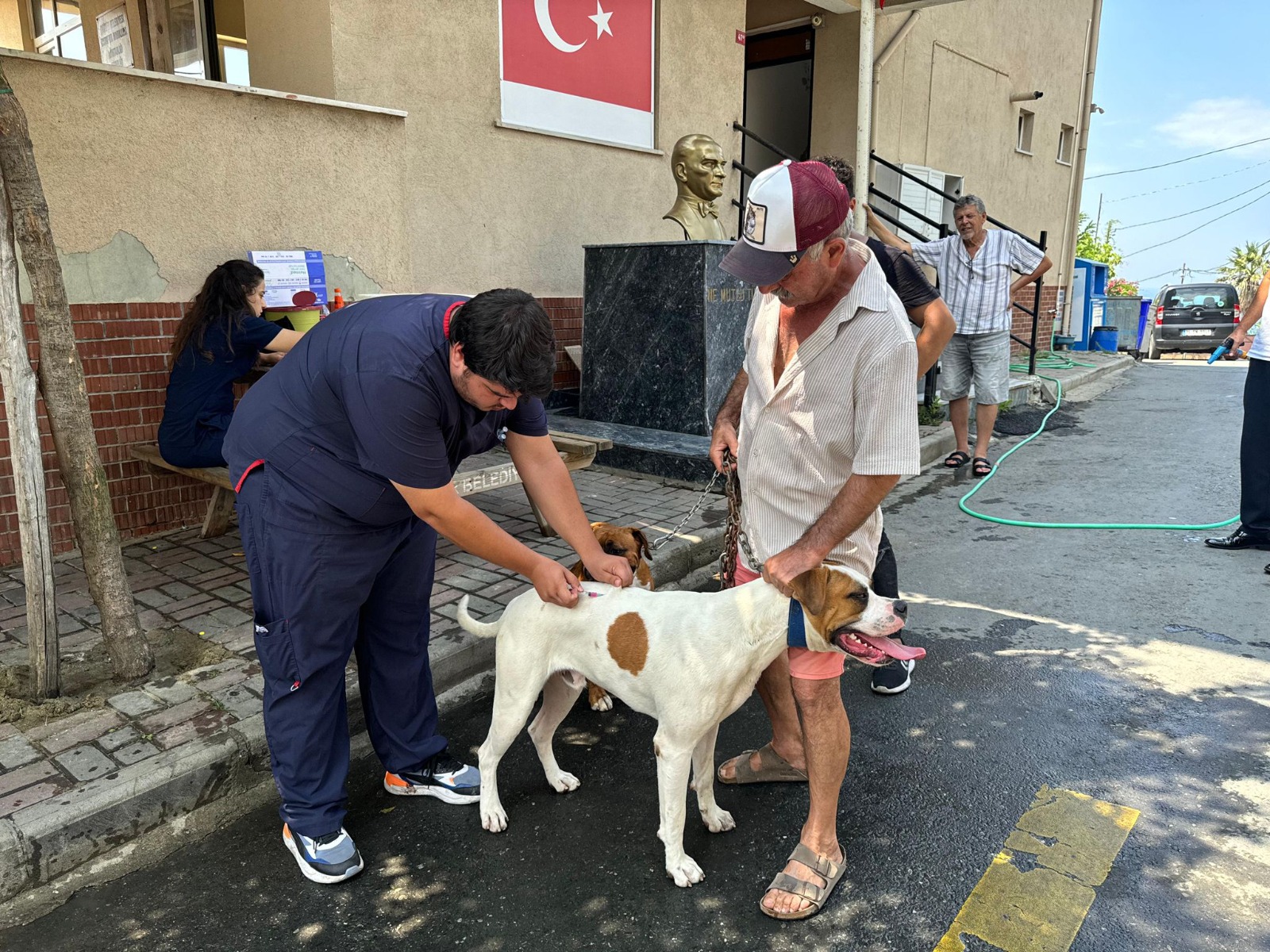 sarıyer belediyesi kuduz aşısı kampanyası 