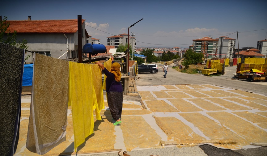 Malatya'da dut pestili mevsimi başladı