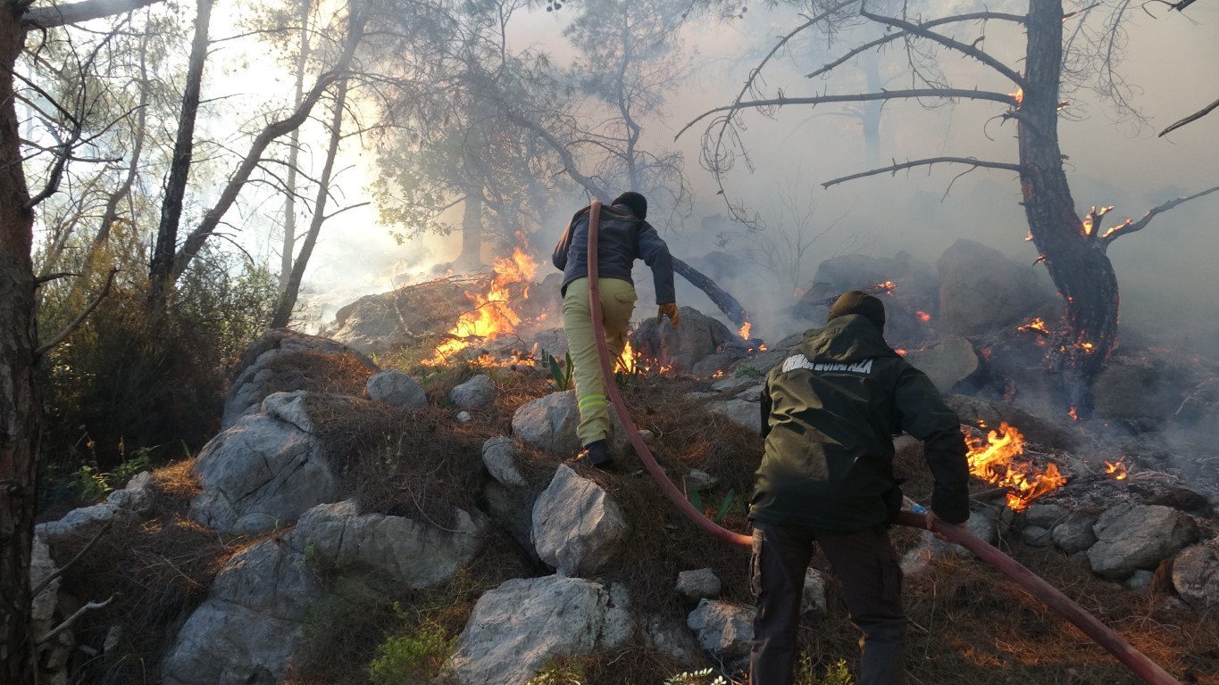 Antalya'da Orman Yangını 2