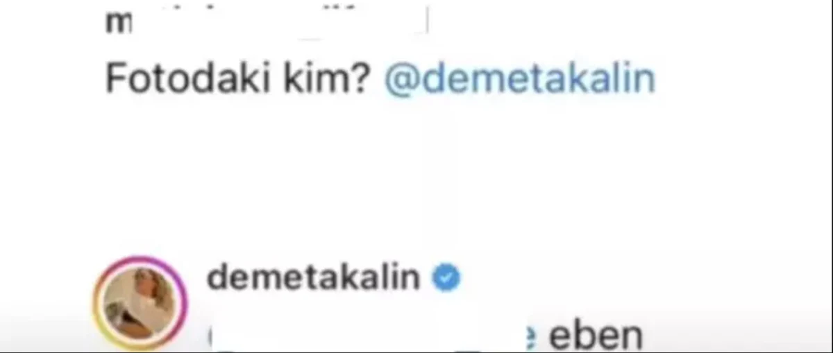 Demet Akalaın